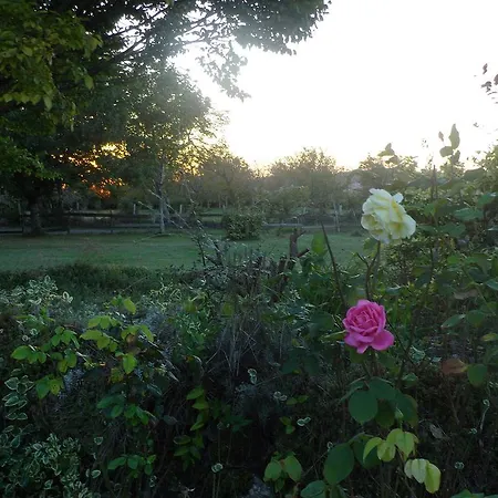 Bed & Breakfast La Lunaire